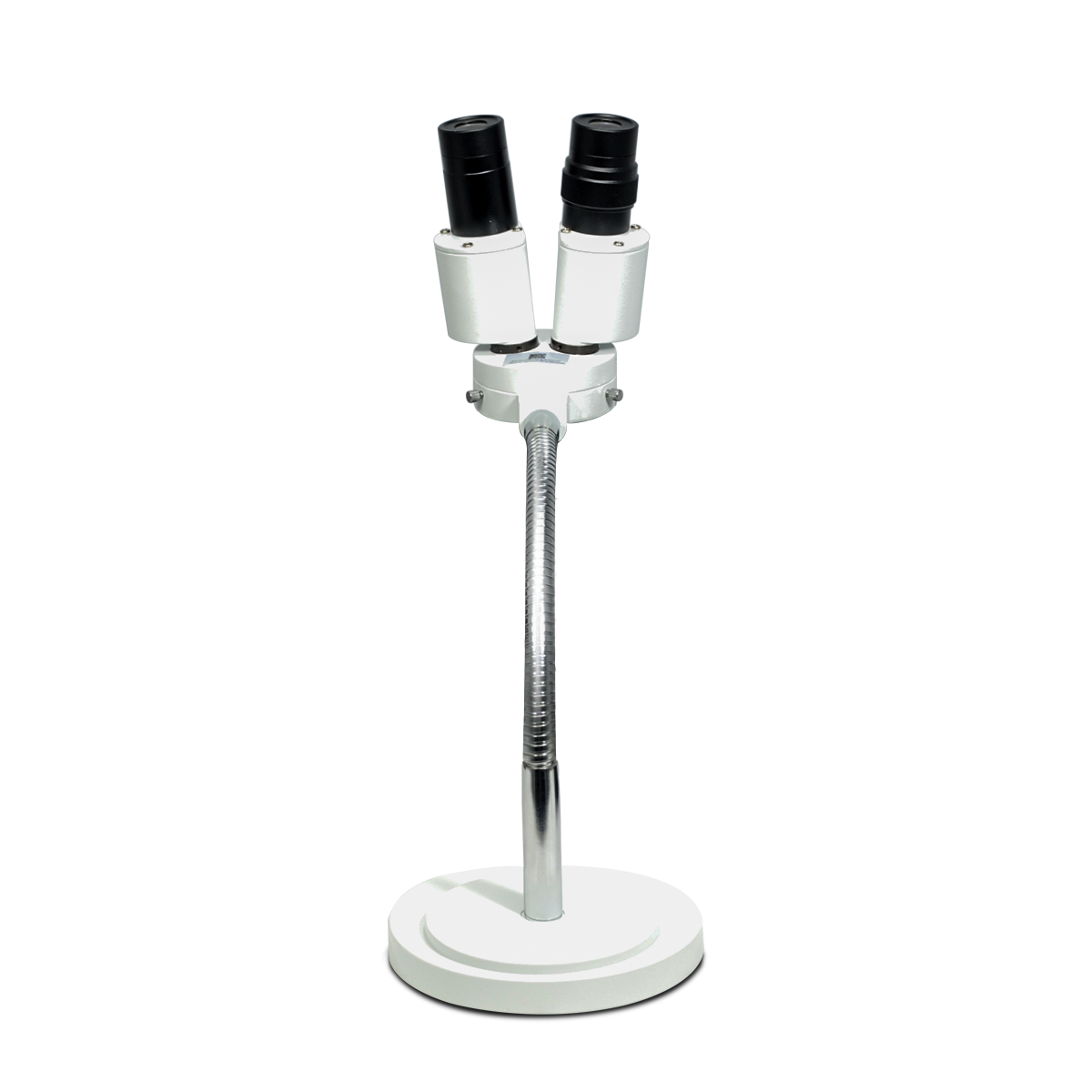 Stereo Microscope